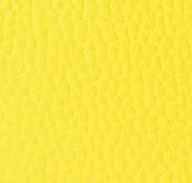 Handbag Repair Pen - Osprey, Citrus